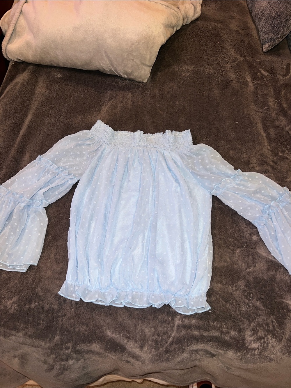 Light Blue Off-Shoulder Swiss Dot Blouse